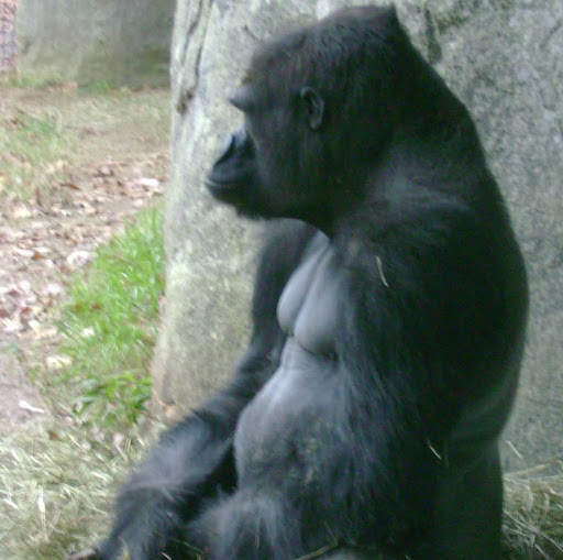 Steven Matthews Photo 40 Steven Matthews Photo 40