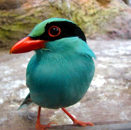 Henry Webber Photo 21 Henry Webber Photo 21