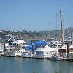 Cindy Mcwilliams Photo 16