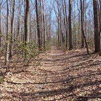 Marie Carr Photo 28