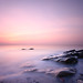 David Dysart Photo 3