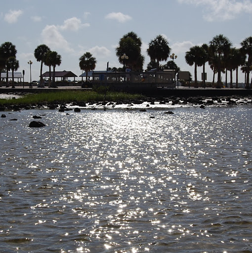 Nancy Mayfield Photo 17