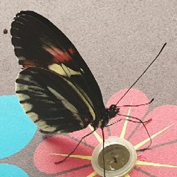 Rachel Barr Photo 44