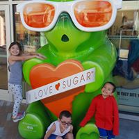 Steven Hawk Photo 13