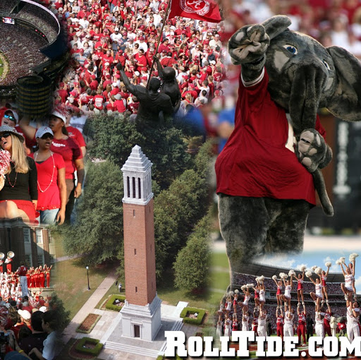 Mark Slater Photo 40