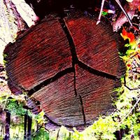 Johanna Atkinson Photo 3