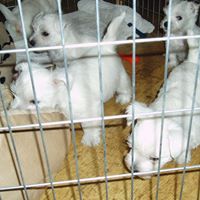 Julie Oldfield Photo 19