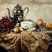 Diana Berry Photo 37