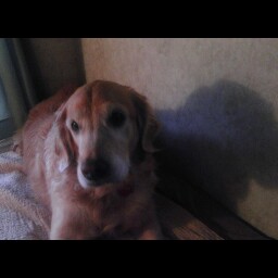 Dolores Miller Photo 31