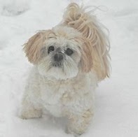 Marilyn Lane Photo 26