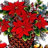 Marian Schultz Photo 11