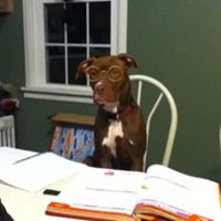 Tamara Powell Photo 13