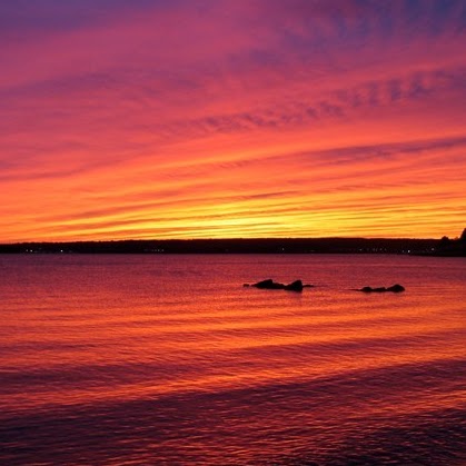 Denise Girard Photo 10