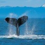 Steven Durant Photo 7