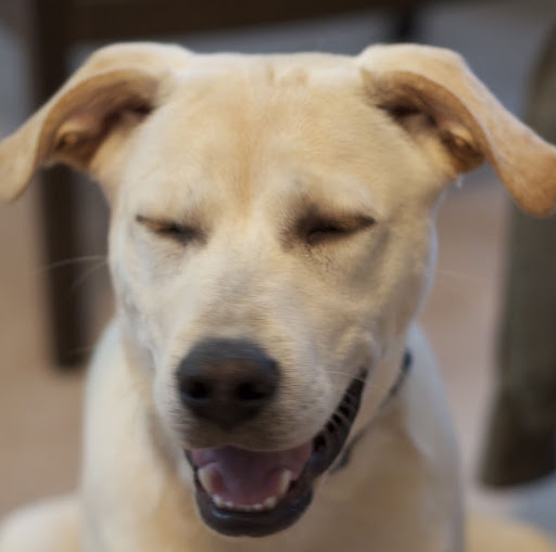 Todd Richardson Photo 46