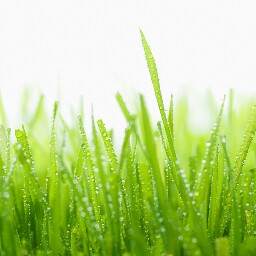 Andrew Rowan Photo 4 Andrew Rowan Photo 4