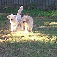 Shirley Moody Photo 17