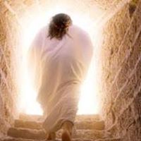 Cheryl Lange Photo 15