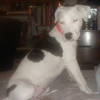 Paula Kendrick Photo 9