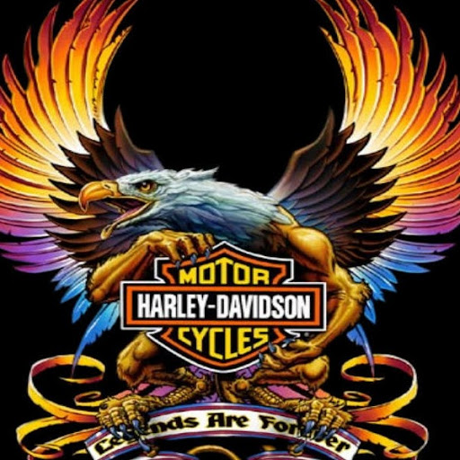 Tracey Saunders Photo 9