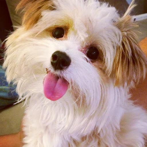 Jennifer Mateo Photo 34