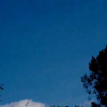 Michelle Jansen Photo 22