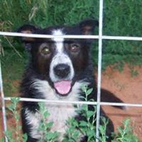 Natalie Mitchell Photo 17