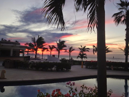 Denise Gilmore Photo 7