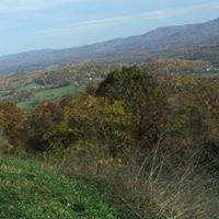 Robert Perkins Photo 43