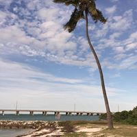 Christine Daugherty Photo 15