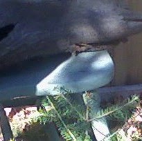 Lois Jenkins Photo 23 Lois Jenkins Photo 23