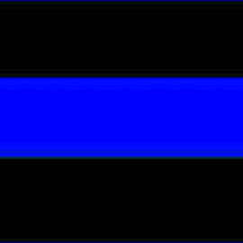 Ronald Craig Photo 16