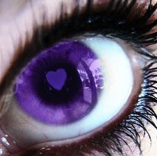 Vanessa Field Photo 14