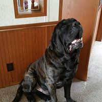 Rick Barker Photo 32