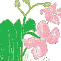 Marsha Burton Photo 22