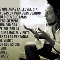 Erica Tapia Photo 16