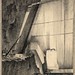 Virginia Clem Photo 14
