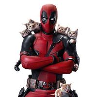 Michael Aldridge Photo 13 Michael Aldridge Photo 13