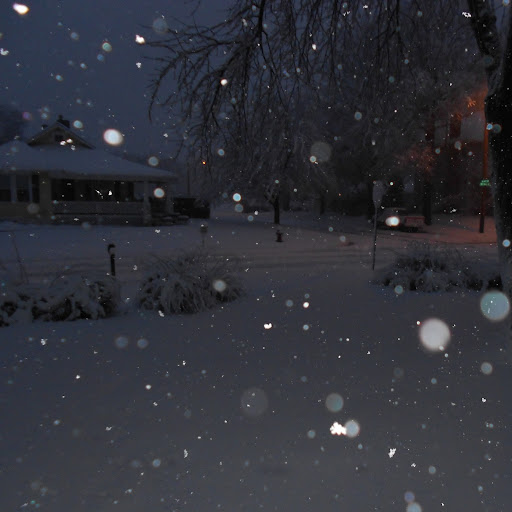 Susan Larsen Photo 34 Susan Larsen Photo 34