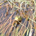 Roger Brooks Photo 26
