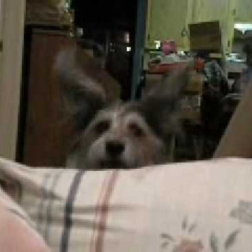 John Cockrell Photo 47