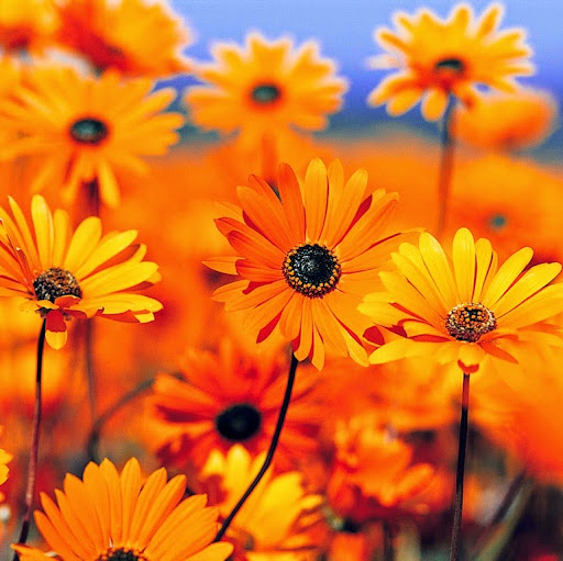 Jennifer Holden Photo 32