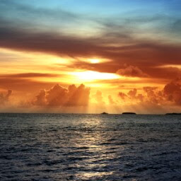 Stacy Harrison Photo 5