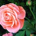 James Kelleher Photo 36