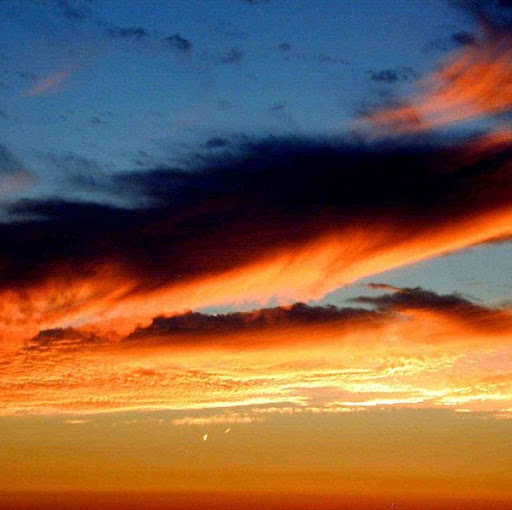 Michael Goss Photo 43