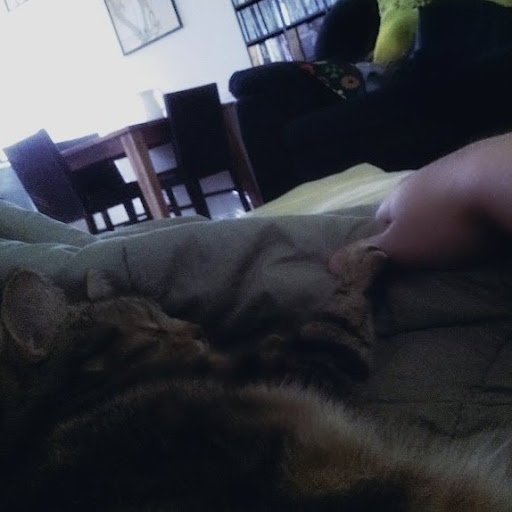 Jonathan Bloom Photo 33 Jonathan Bloom Photo 33