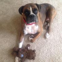 Jennifer Mcmichael Photo 23