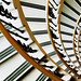 Jeffrey Levy Photo 36