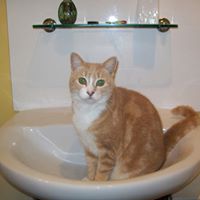 Shelly Stuart Photo 2