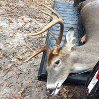 Josh Rutledge Photo 32